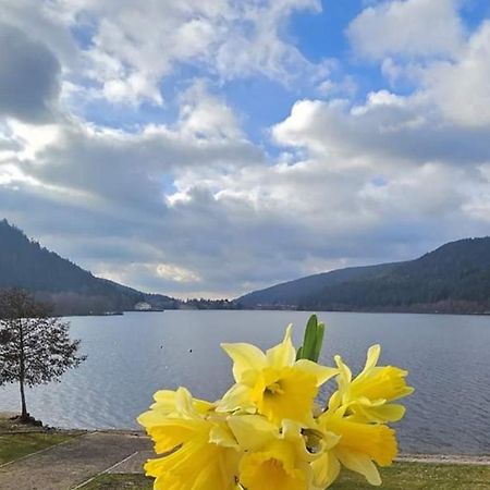 Les Yeux Du Lac Gérardmer Esterno foto