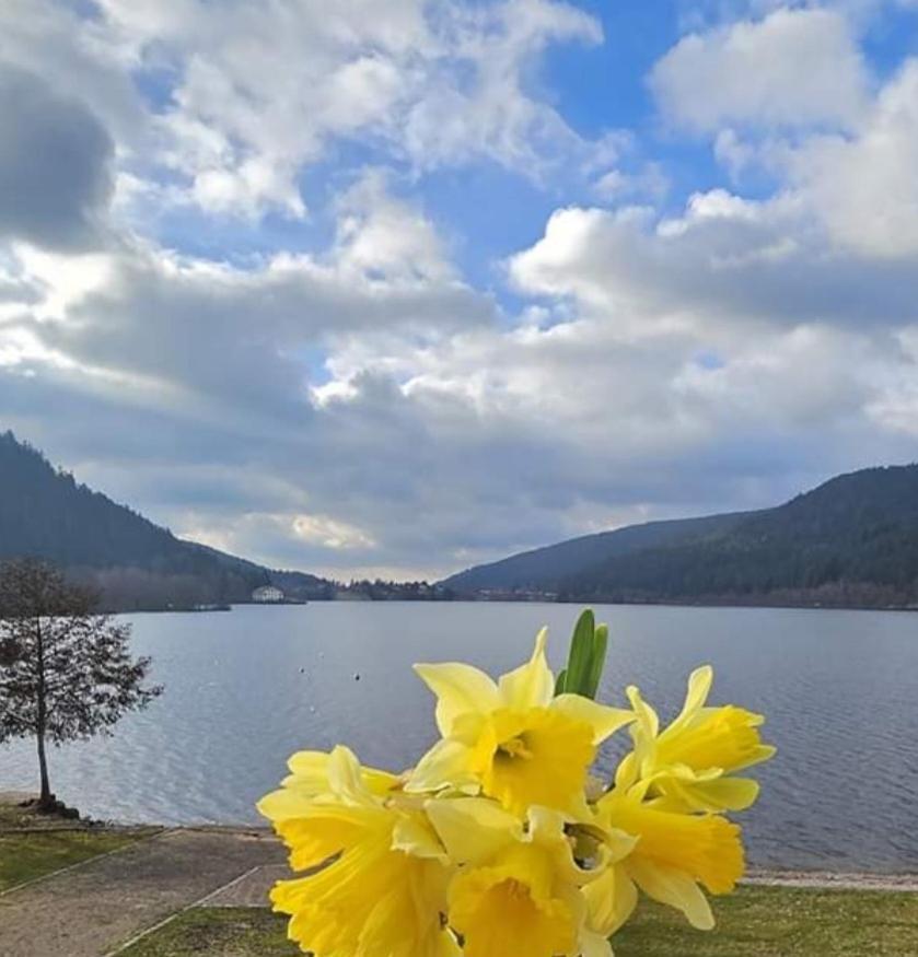 Les Yeux Du Lac Gérardmer Esterno foto